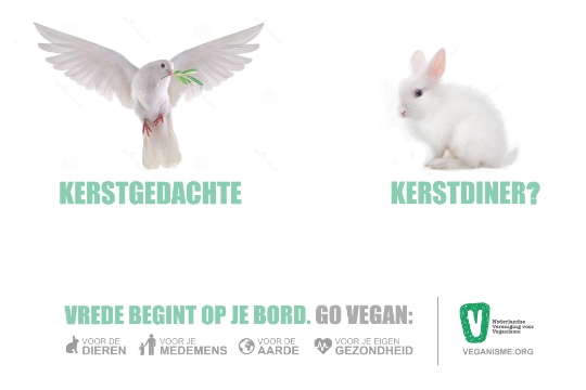 een duif met daaronder 'Kerstgedachte' en een konijn met 'Kerstdiner?' en de tekst 'Vrede begint op je bord. Go vegan'