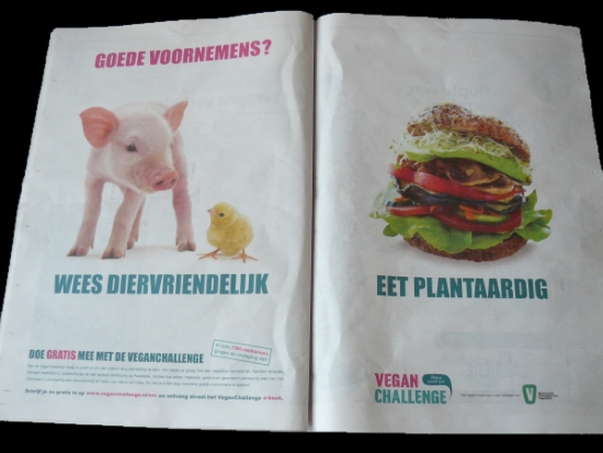 een-mooi-gezond-en-vegan-2015-gewenst2 een varken met een kuiken en de tekst 'wees diervriendelijk' en een burger met de tekst 'eet plantaardig'