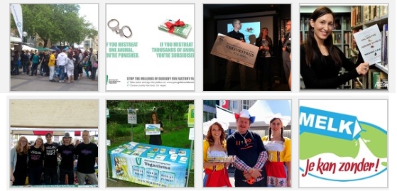 collage van activiteiten van de NVV