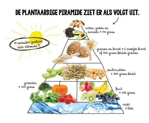 green-happiness-commotie2 de plantaardige pyramide met aanbevelingen van welke productcategorieën en hoeveel daarvan men dagelijks zou moeten eten