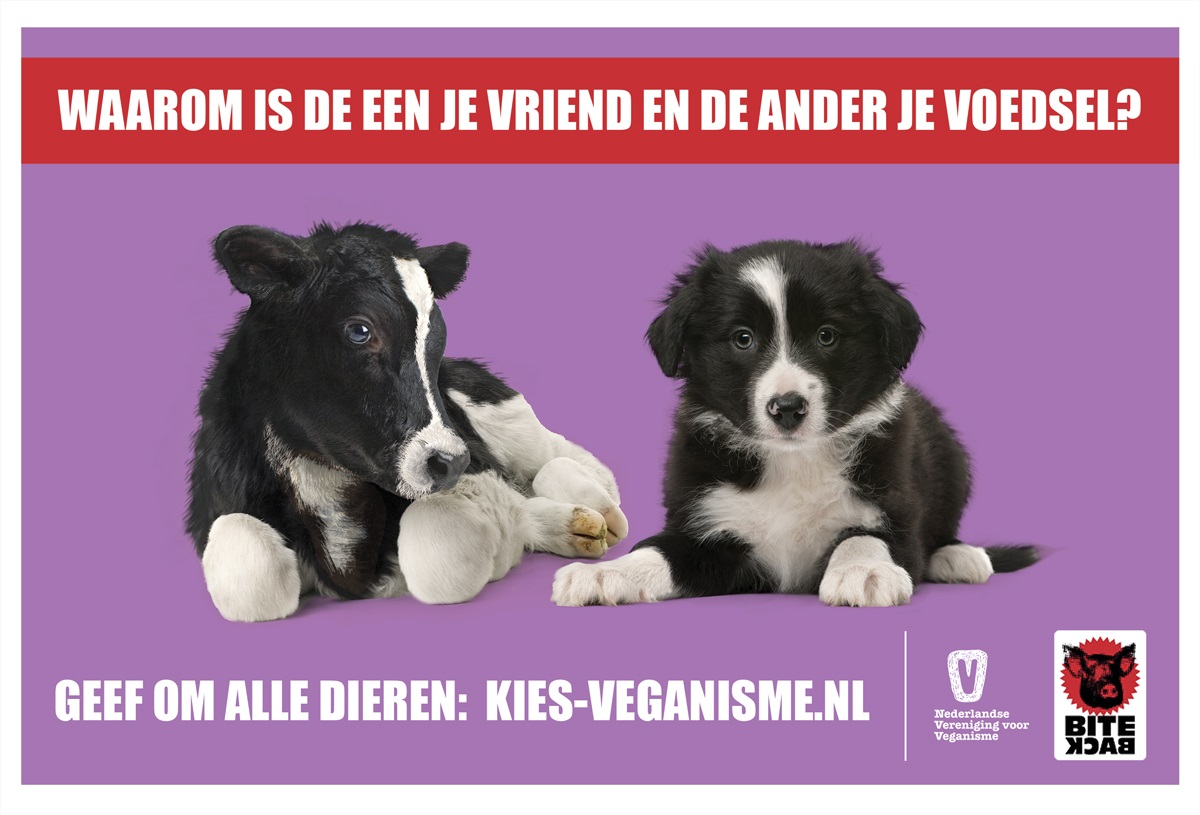 Zwart-witte puppy en kalfje en de tekst 'Waarom is de een je vriend en de ander je voedsel? Geef om alle dieren: kies-veganisme.nl'