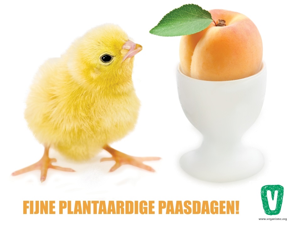een kuikentje en een perzik in een eierdop met de tekst 'Fijne plantaardige paasdagen!'