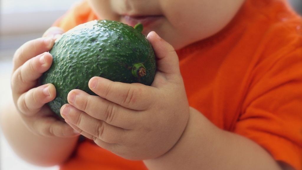 twee kinderhanden houden een avocado vast