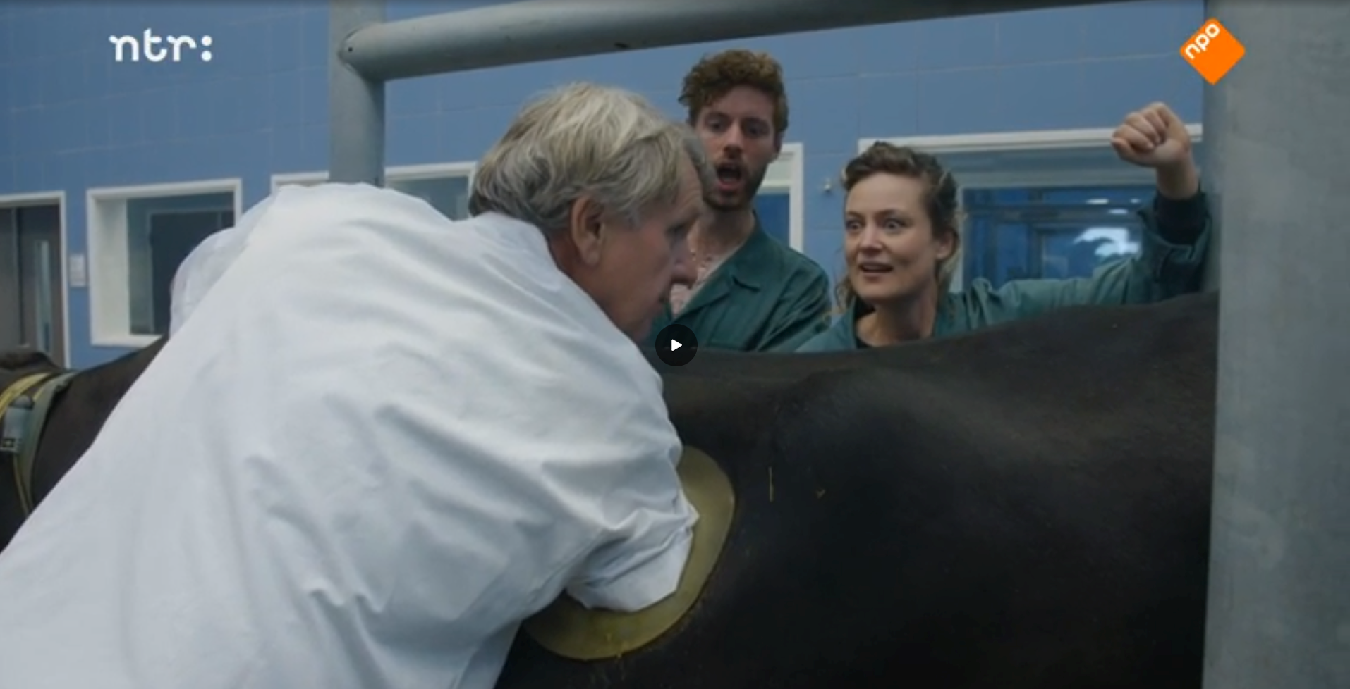 Screenshot uit de aflevering Koeien: Queens of Milk van het programma De Buitendienst