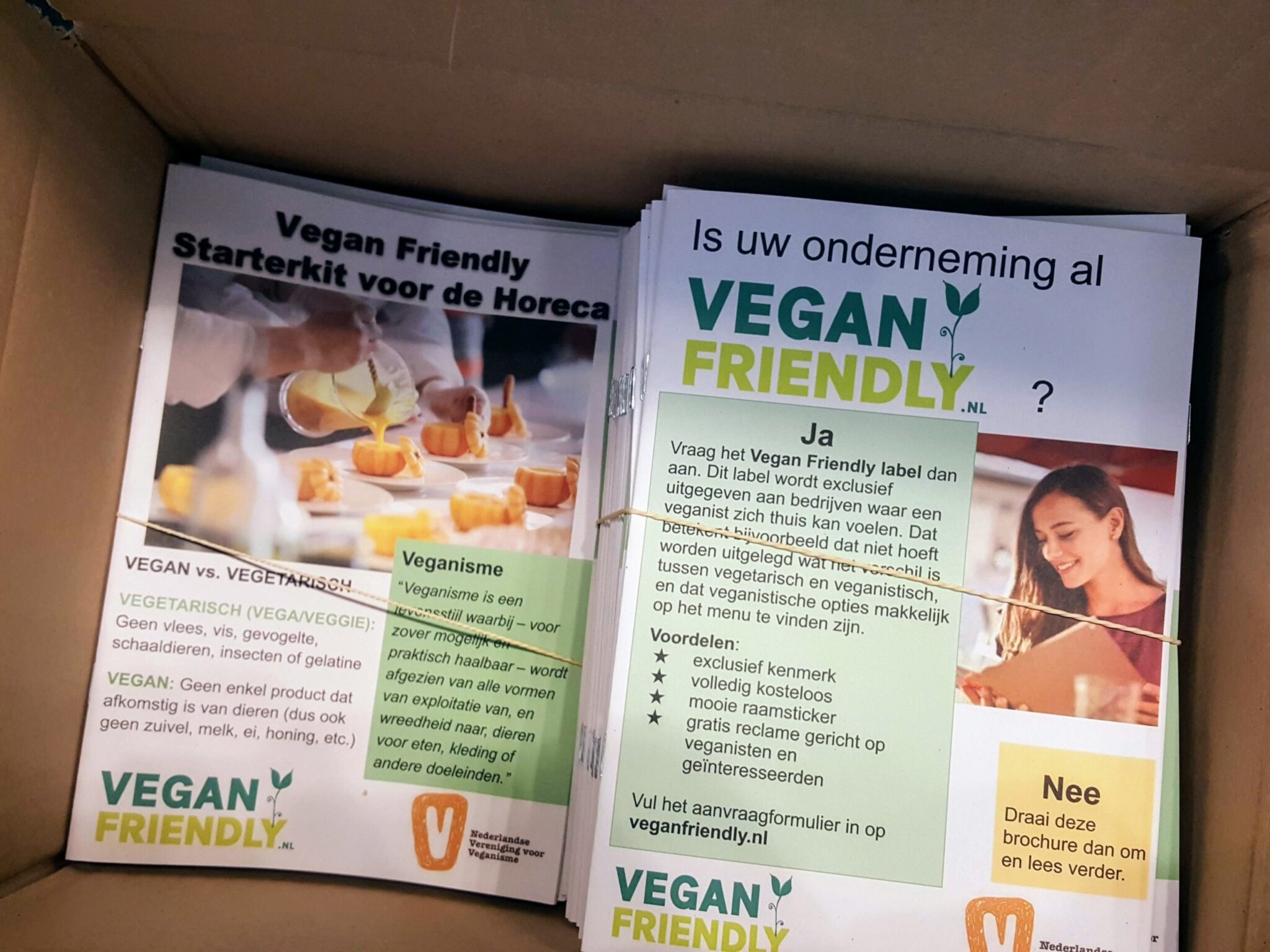 een stapel brochures van Vegan Friendly