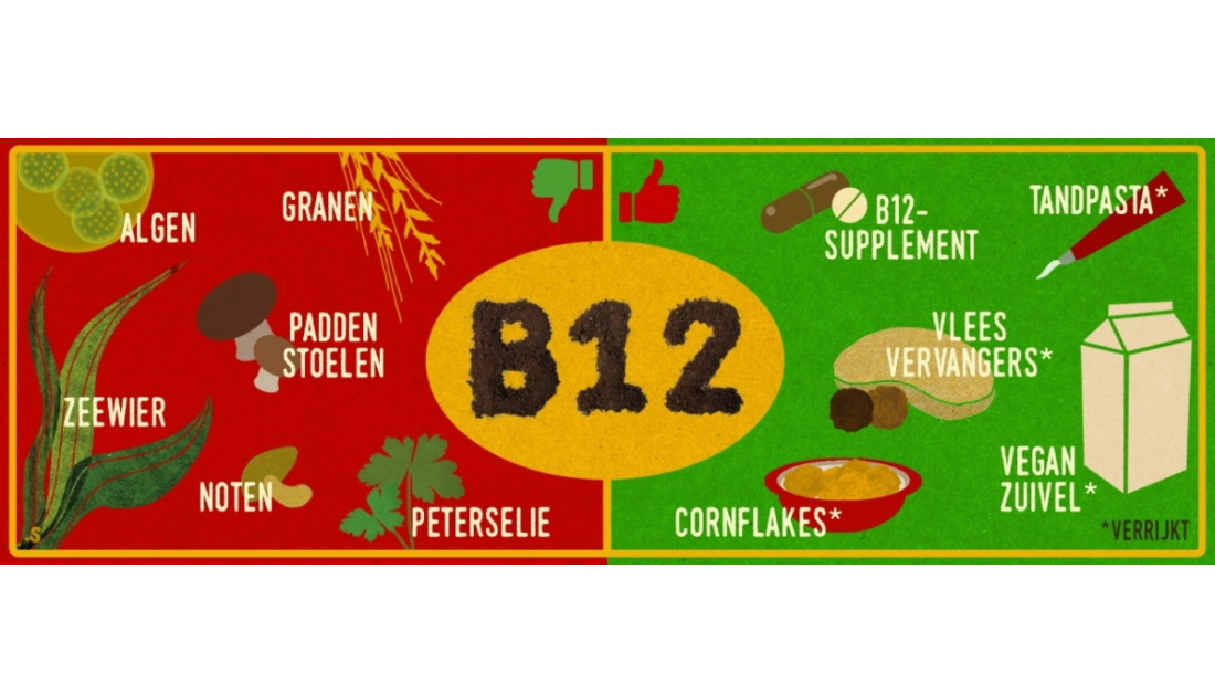 een banner over B12 met namen en afbeeldingen van producten waar dat in zit