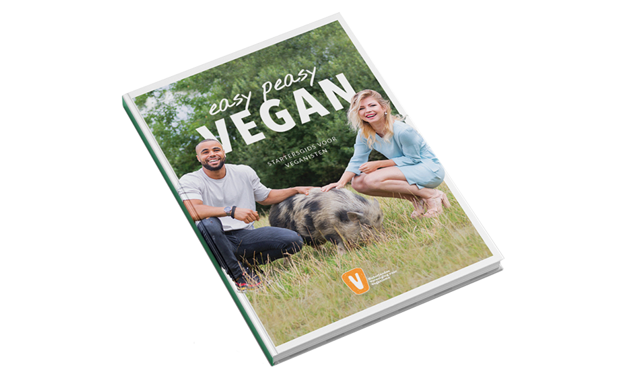 cover van de Easy Peasy Vegan Startersgids