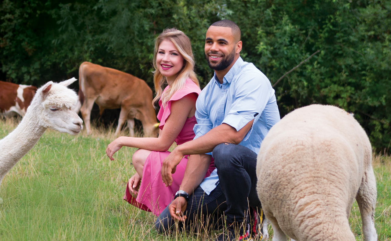 twee mensen zitten tussen dieren in het gras