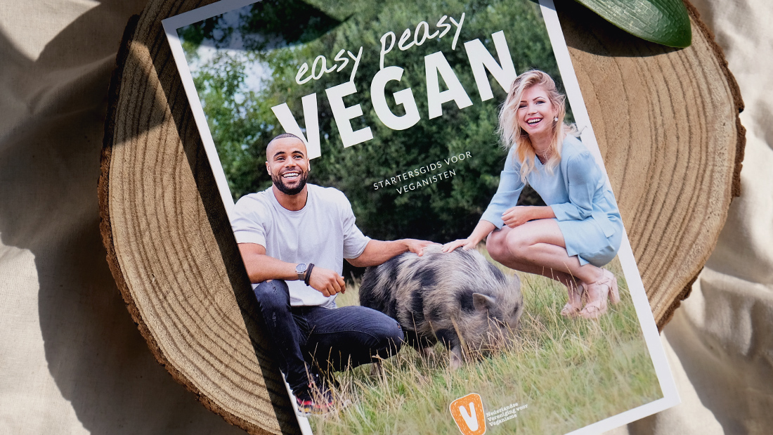 Easy Peasy Startersgids Cover cover van de Easy Peasy Startersgids voor veganisten