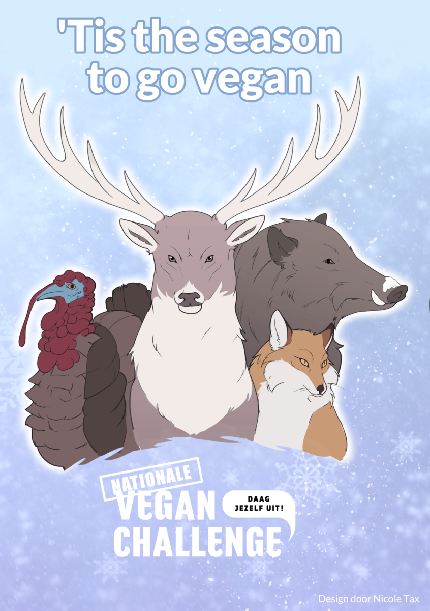 Nationale VeganChallenge kerstkaart “Tis the season to go vegan” een kerstkaart van Vegan Challenge met een zwijn, vos, rendier en kalkoen en de tekst 'Tis the season to go vegan'