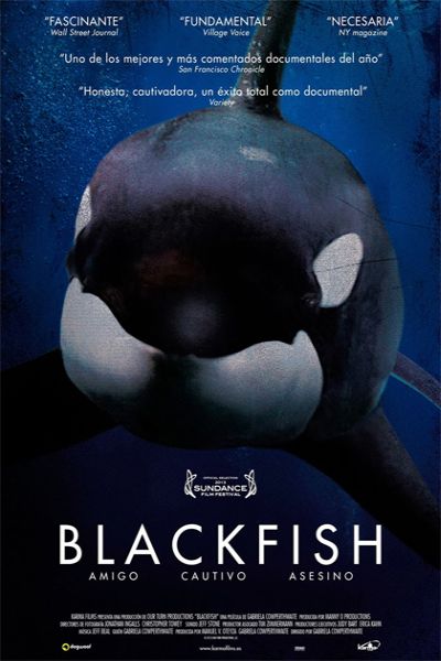 Blackfish movie poster Poster van de film Blackfish, met daarop een orca