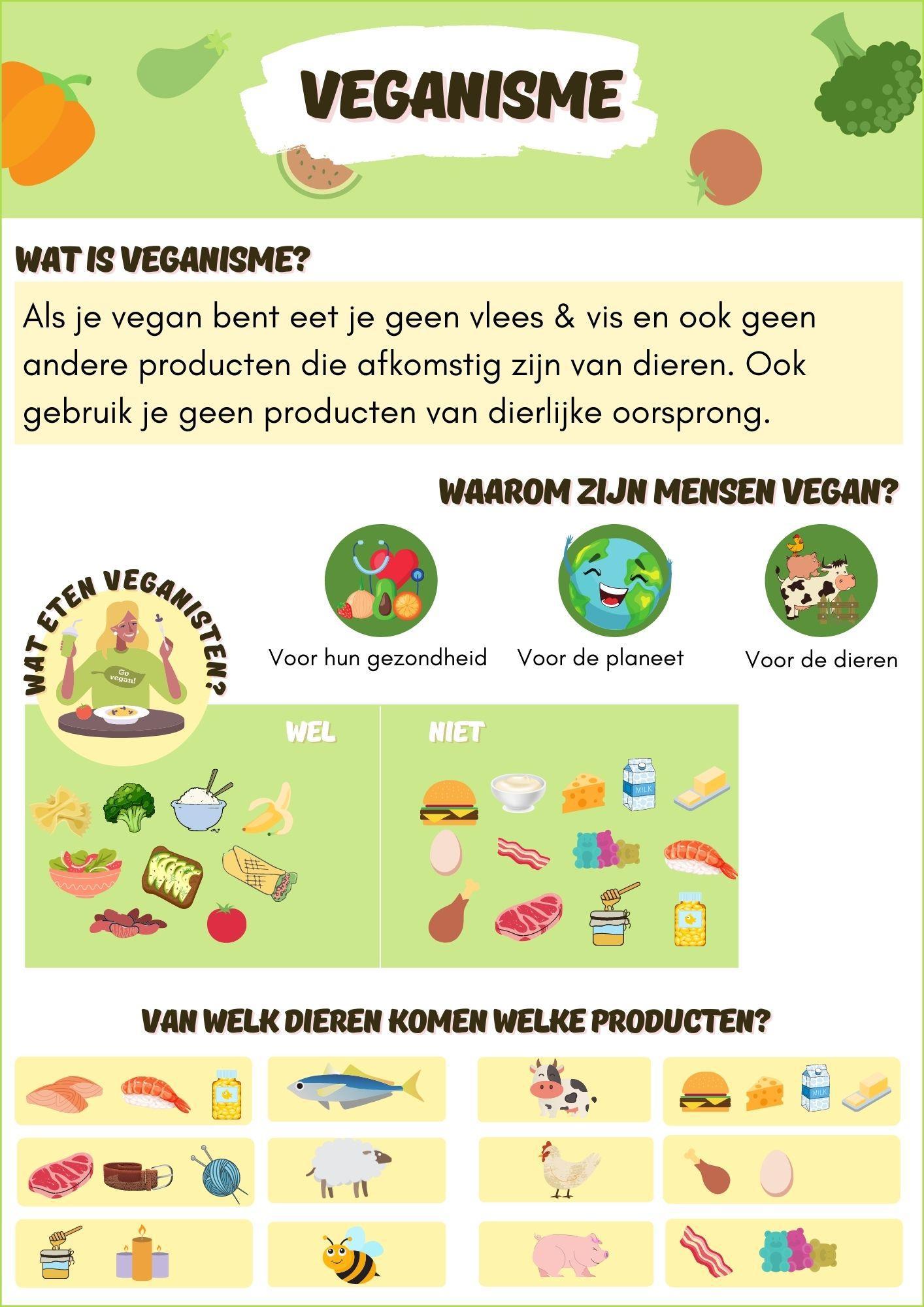 infographic met uitleg over veganisme: Wat is veganisme? Waarom zijn mensen vegan? Van welke dieren komen welke producten?