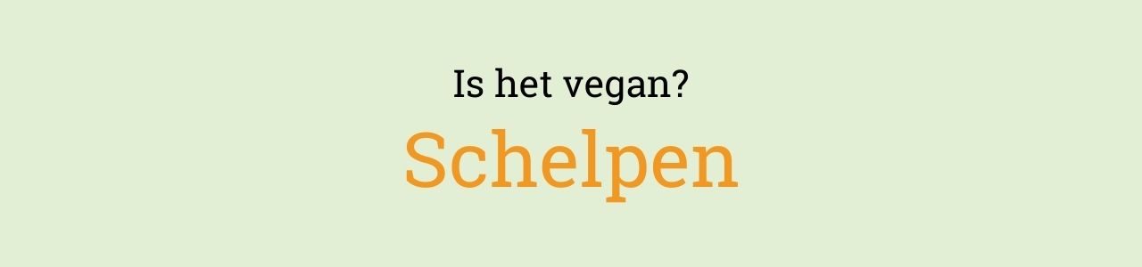 Is het vegan? Schelpen