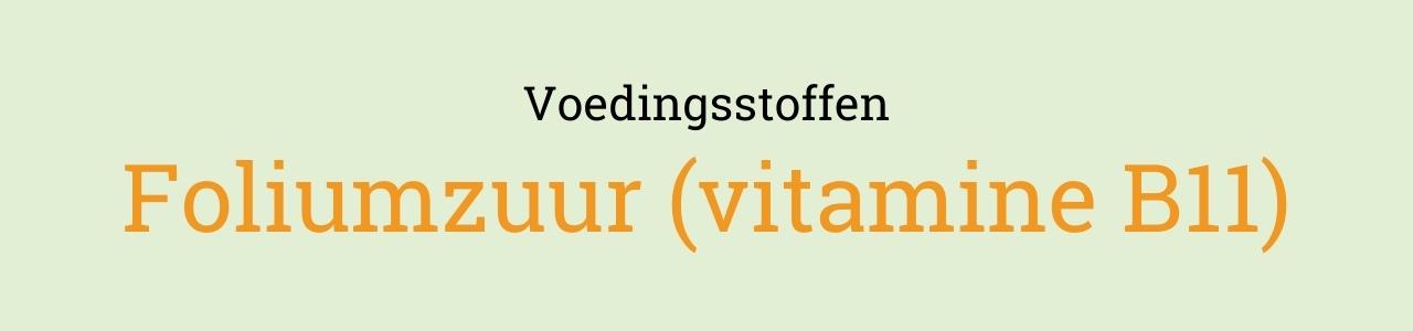 Voedingsstoffen: Foliumzuur (vitamine B11)