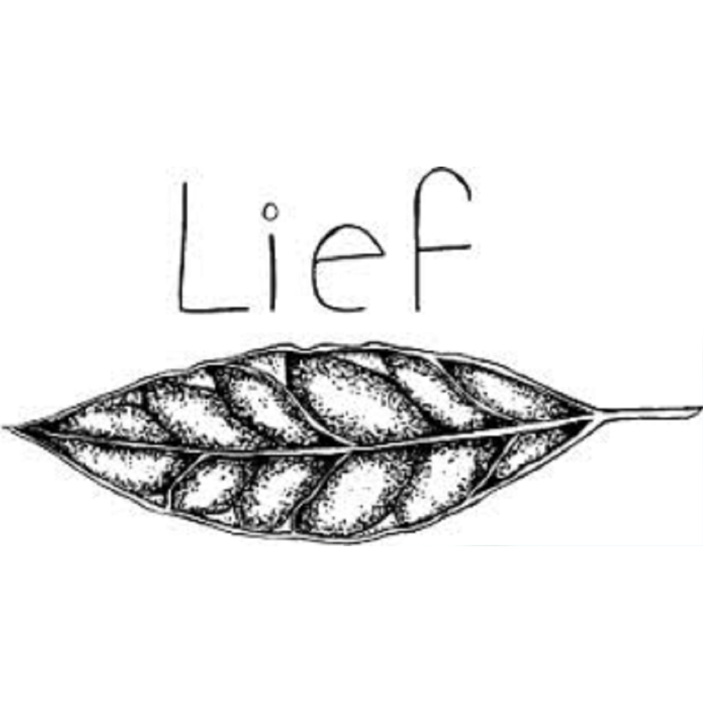 Horeca Noord – Lief logo van horecazaak Lief