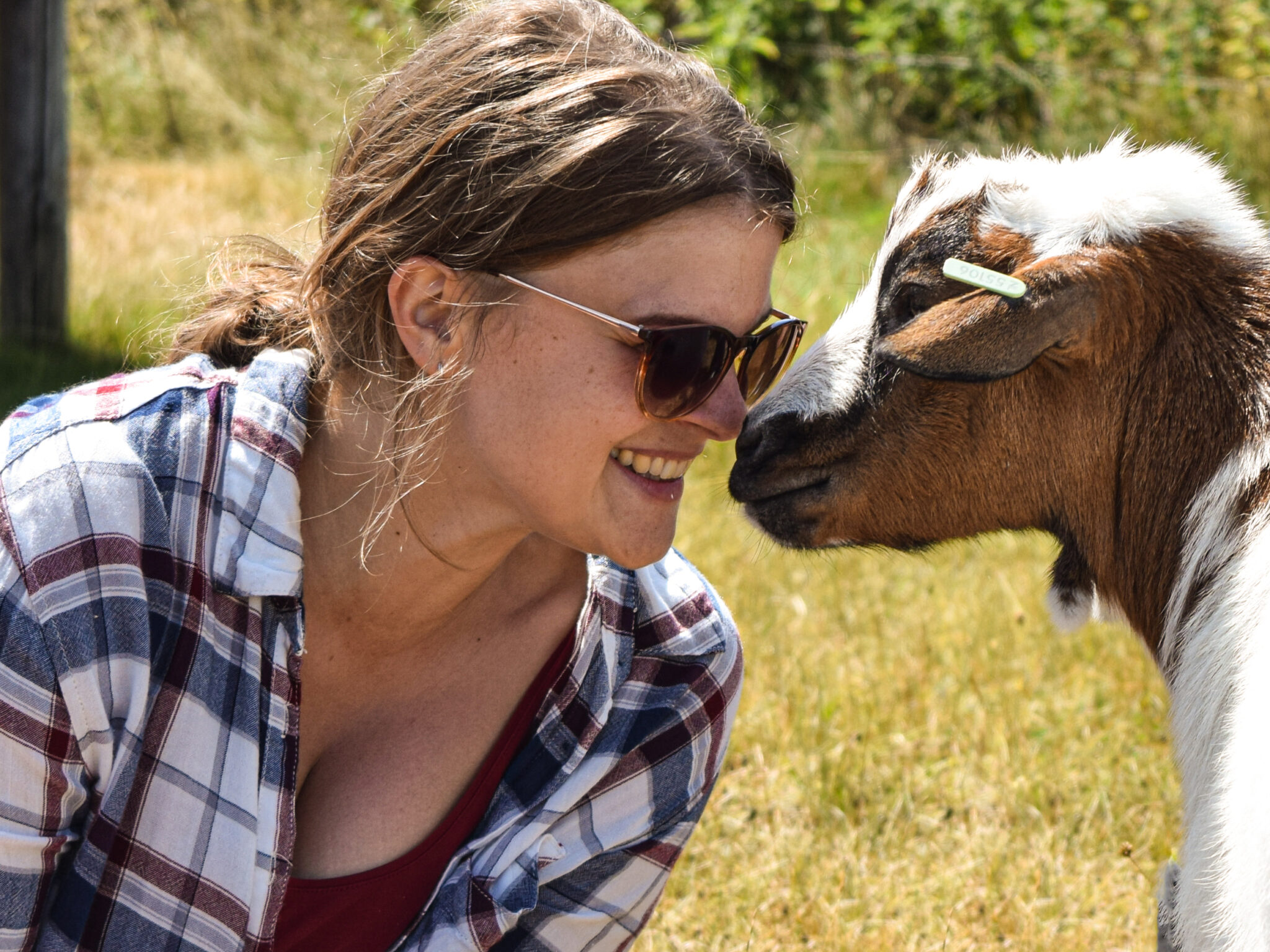 20220724-131443-001 iemand knuffelt met een geit