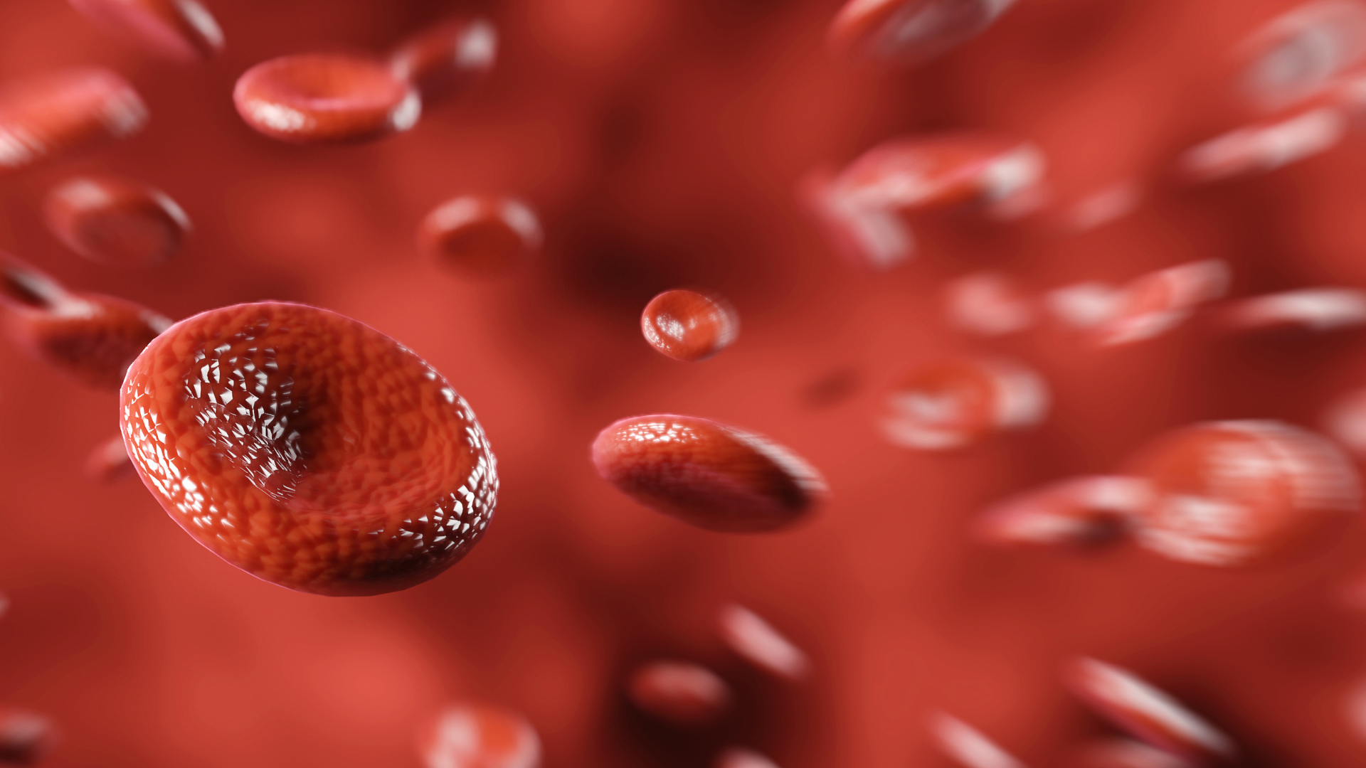 Rode bloedcellen die door bloed heen bewegen