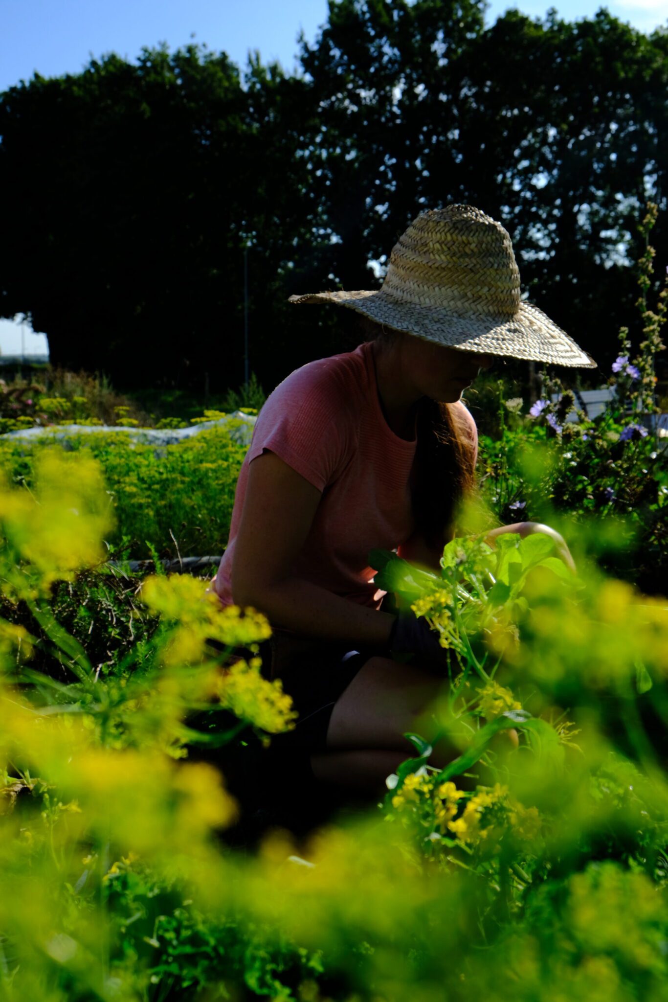 Carolien Caspers aan het werk in haar moestuin.
