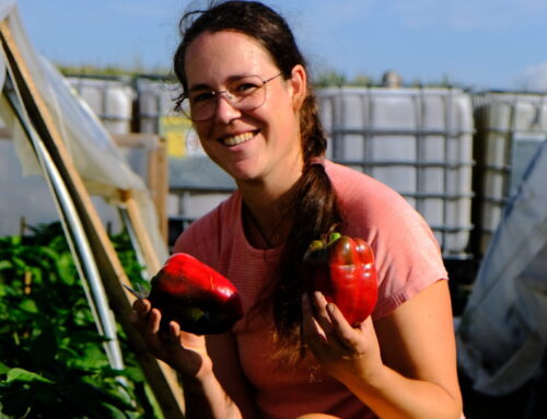 In de Spotlight: Carolien Caspers, bio-vegan tuinderij ’t Mooshöfke