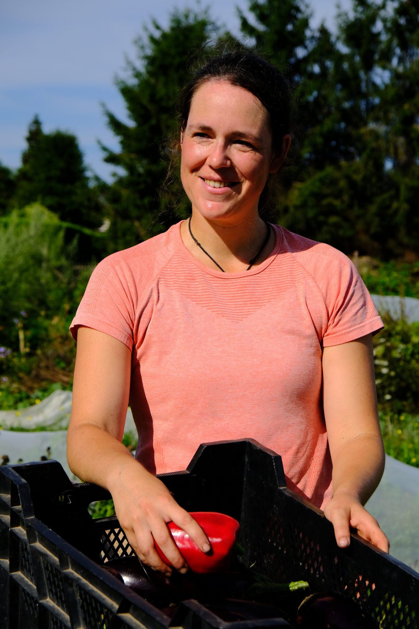 Carolien Caspers legt een paprika in een krat.