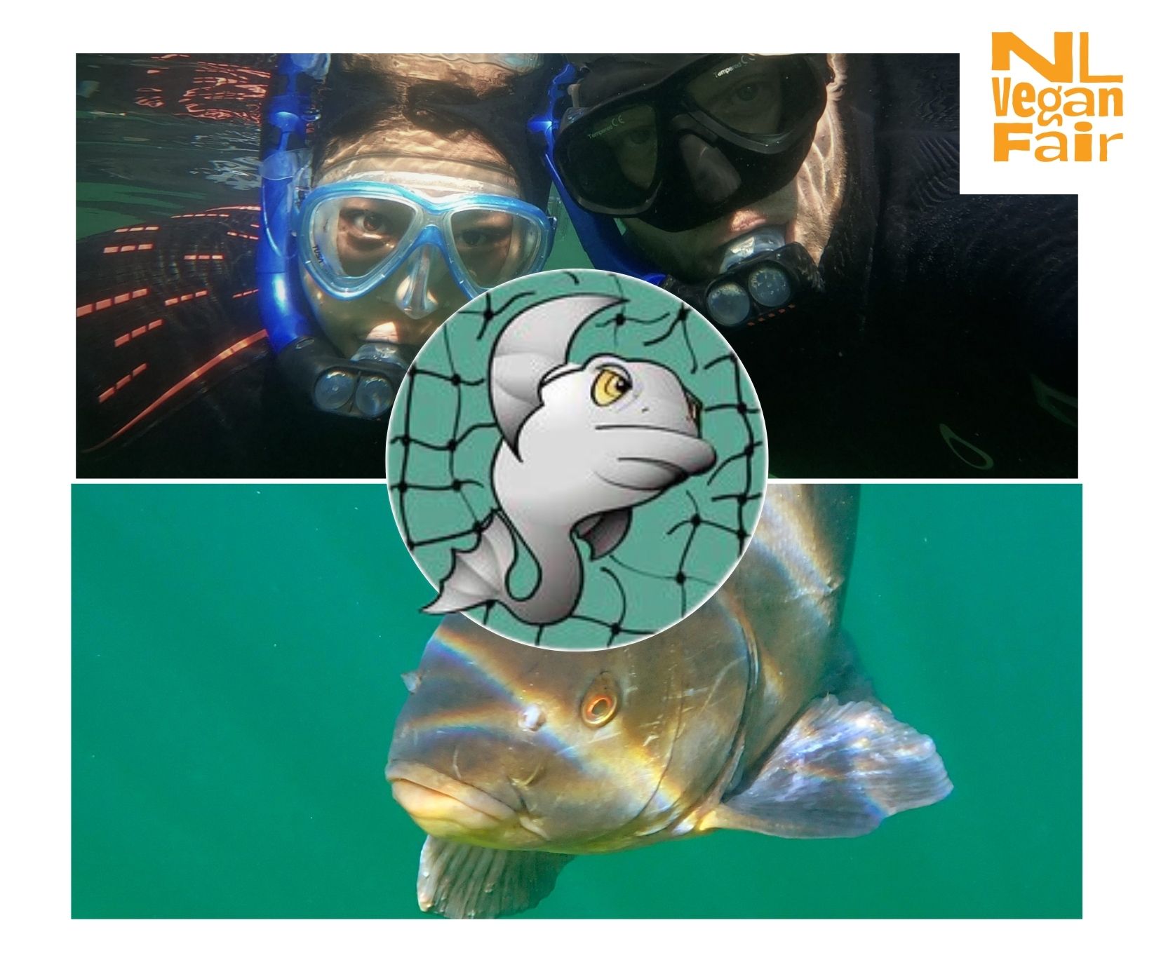 Stichting Vissenbelangen Stichting Vissenbelangen: twee duikers, een vis in het water en een vis die zich bevrijdt uit een net