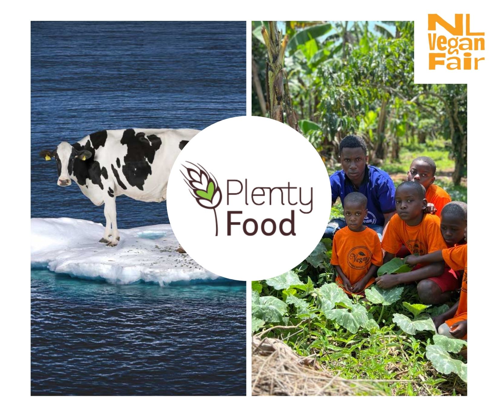 Plenty Food Afbeeldingen van een koe op een ijsschots, 4 kinderen en een volwassene op een plantage en het logo van Plenty Food.