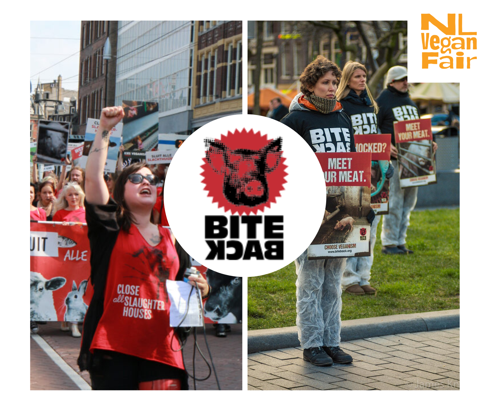 FB NLVegan Fair Standhouders (1) Mars en vreedzaam protest voor rechten van dieren door Bite Back