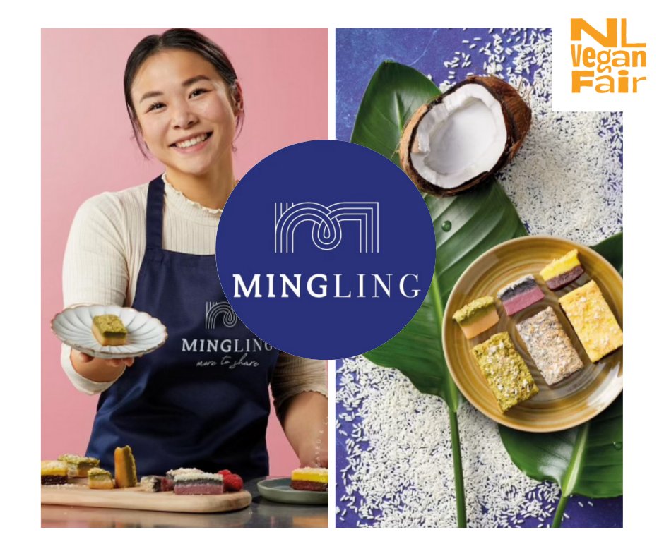 458243438_1051109569704577_4317925558378043788_n Iemand presenteert kokoscakejes van Mingling