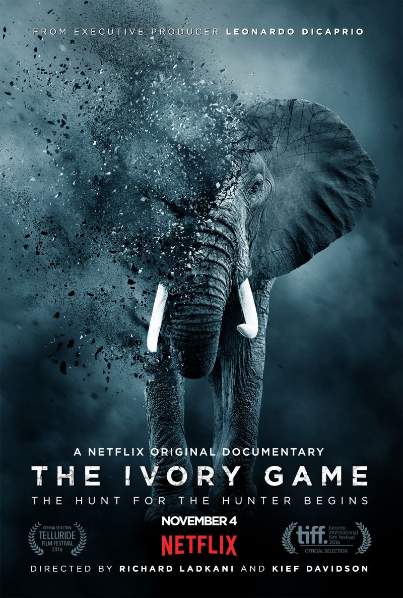 the ivory game movie poster Poster van de Netflix-documentaire The Ivory Game. Witte slagtanden van een olifant steken scherp af tegen zijn donkere huid.