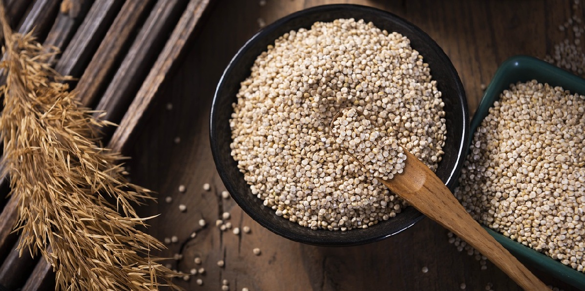 Twee kommen met quinoazaden en een gedroogde quinoahalm