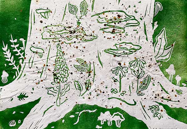 Tekening van stam van boom met planten en zwammen