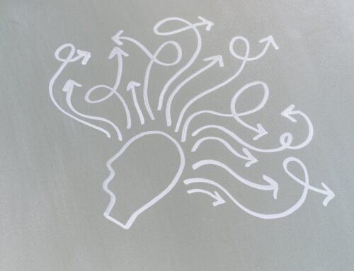 Waarom dierenvrienden dieren eten