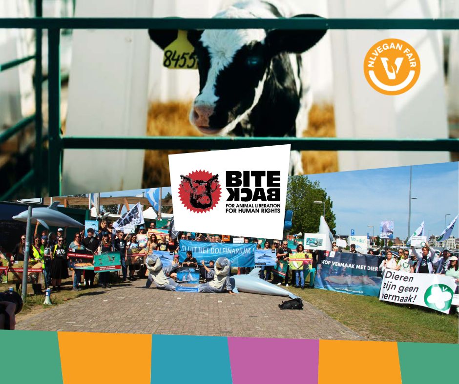 Bite-back-NLVegan-Fair-2025 Collage van onder andere een plaatje van een koe en in het midden de tekst Bite Back