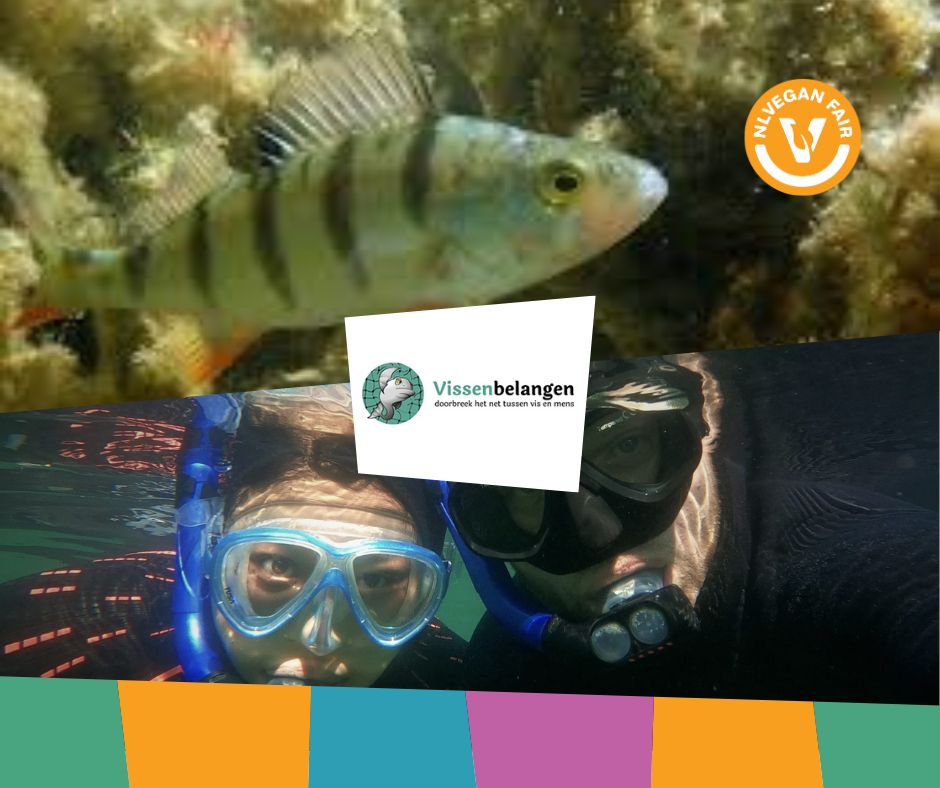 Vissenbelangen-NLVegan-Fair-2025 Collage van een vis en een duiker met in het midden de tekst Vissenbelangen
