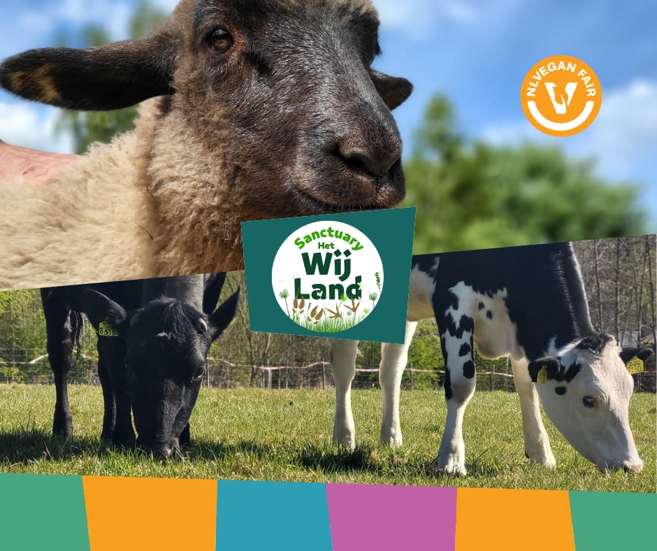 Sanctuary-het-wijland-NLVegan-Fair-2025 Collage met foto's van dieren, met in het midden de tekst: Sanctuary Het Wijland