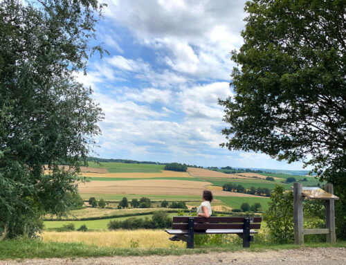 Op vakantie in eigen land: ontdek het met de groene gids van Zuid-Limburg
